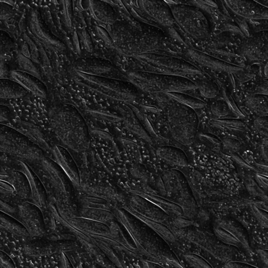 Roughness texture